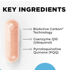 MitoActive™ (60 capsules)