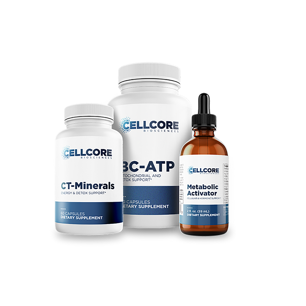 Cellular Metabolism Kit