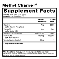 METHYL CHARGE+