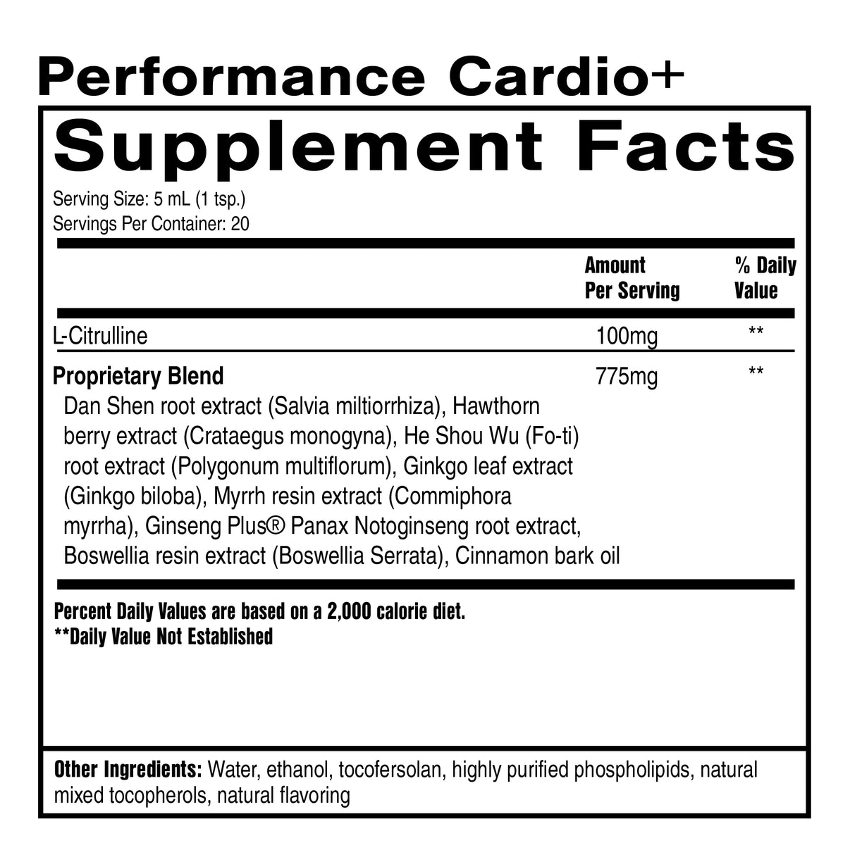 PERFORMANCE CARDIO+