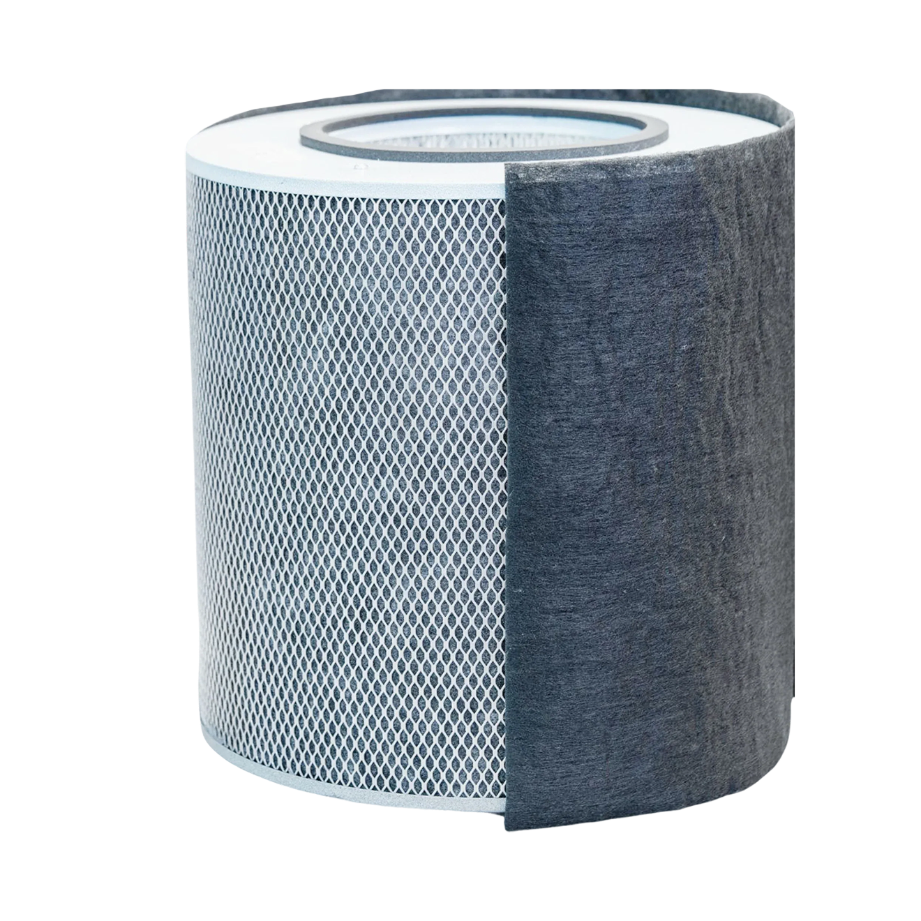 Purifier Austin Air Filter Immunity Machine