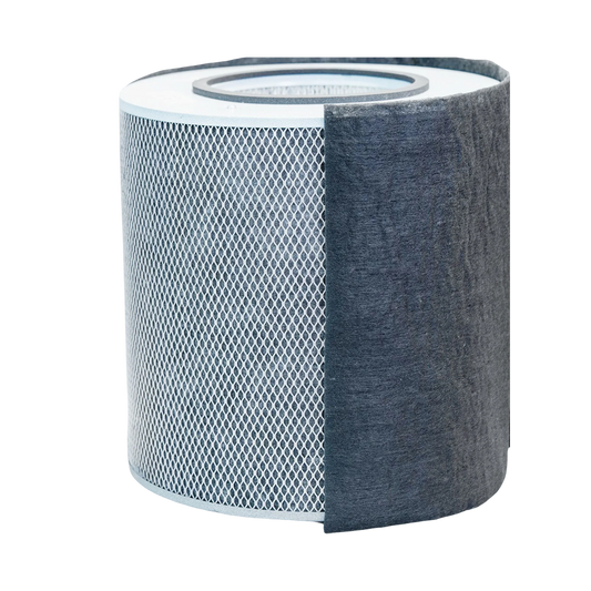 Purifier Austin Air Filter Immunity Machine